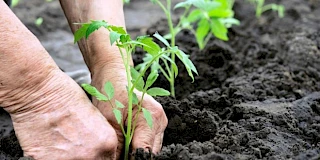 Formação Financiada