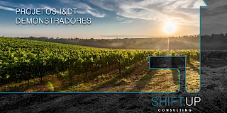 Incentivos à Investigação e Desenvolvimento Tecnológico