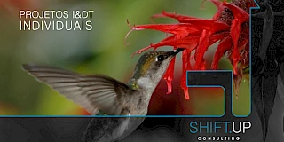Projetos Individuais - PT2020